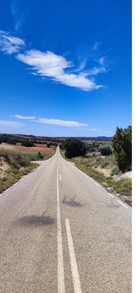Leaving the high plain — the road into the horizon — Ruta de la Lana